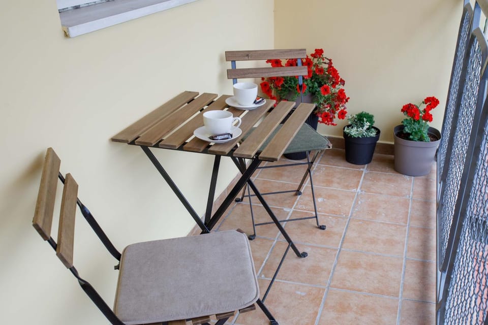 Special 2009 Apartment in Vojvodina