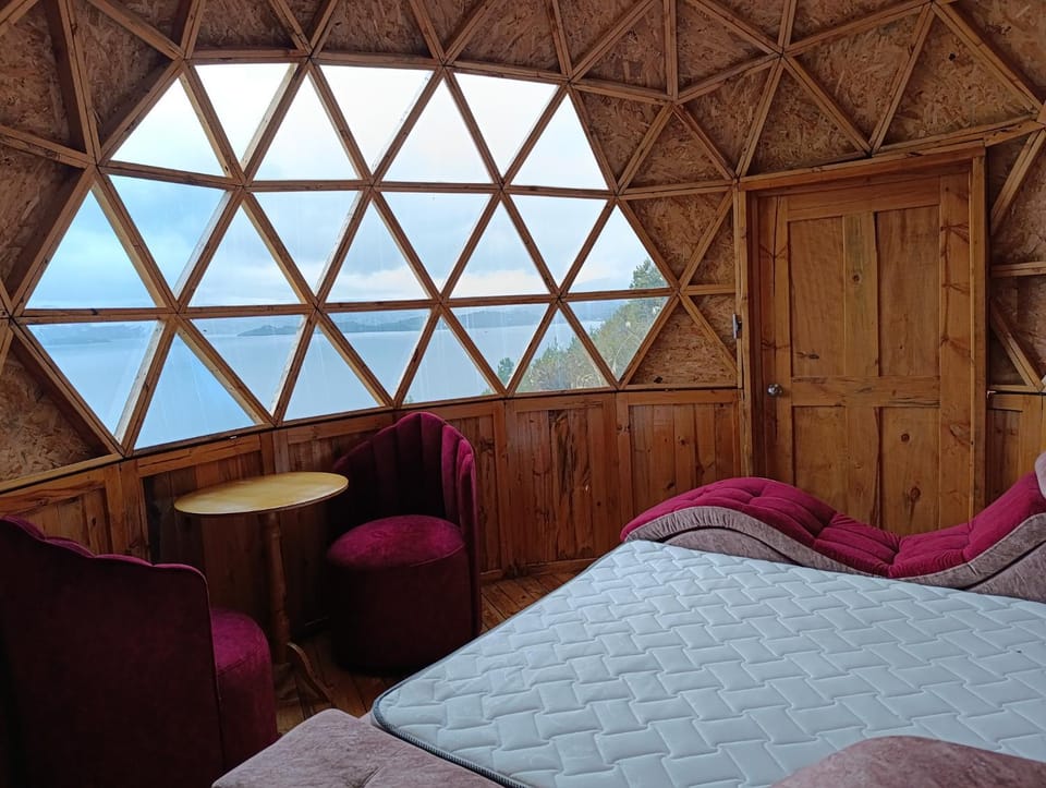Bed, Living room, Photo of the whole room, Bedroom