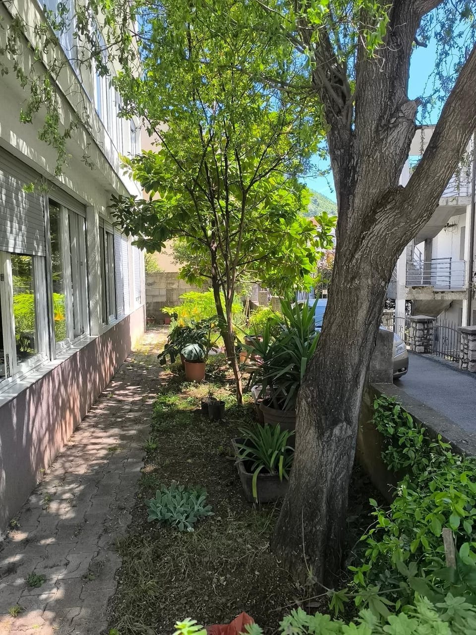 Sunny apartments Apartment in Budva
