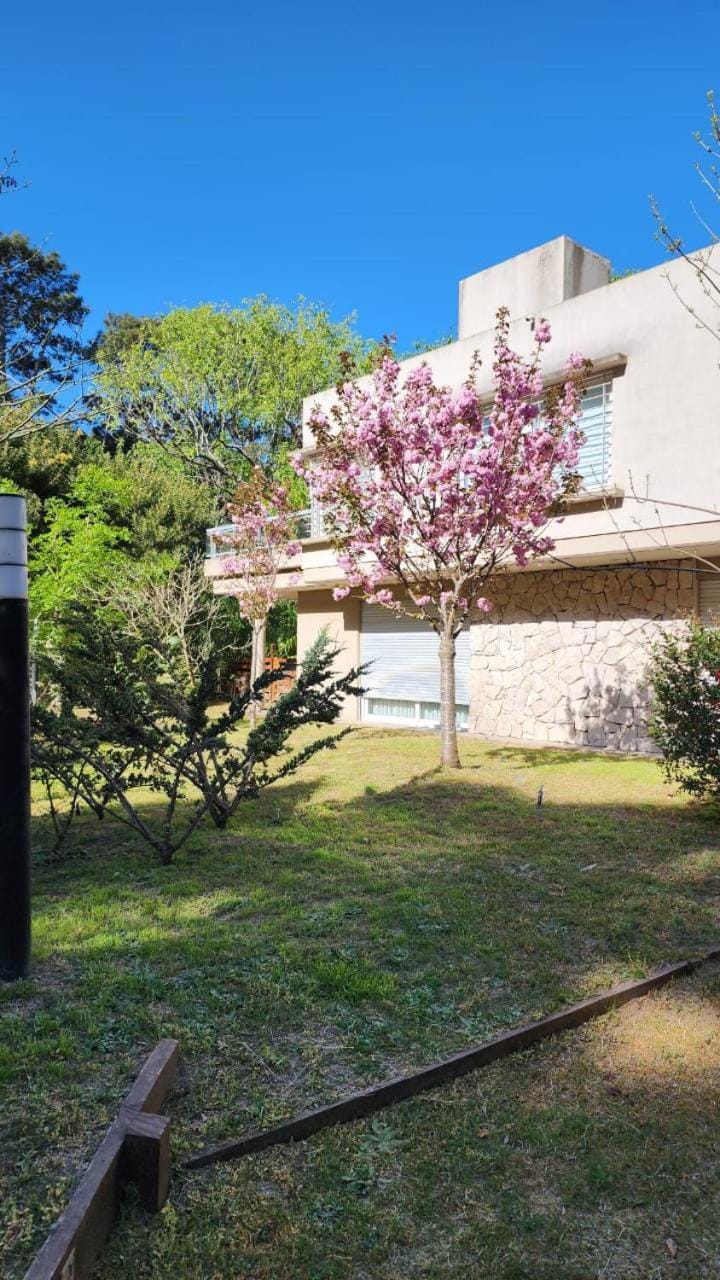 Magnolia House in Mar de las Pampas