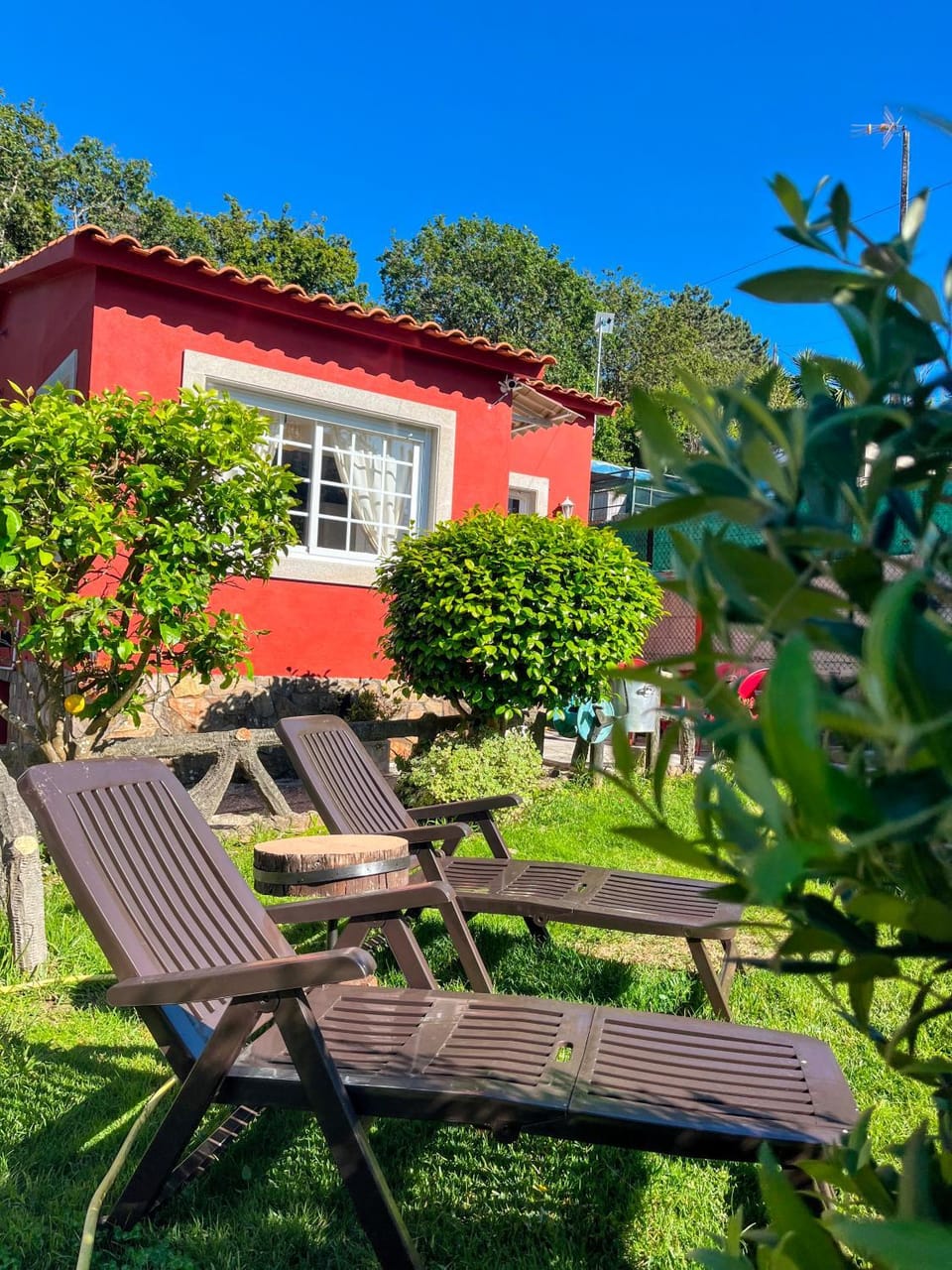 Property building, Garden, Garden view