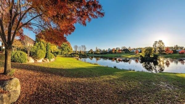 The Little House on the Water House in Stanthorpe