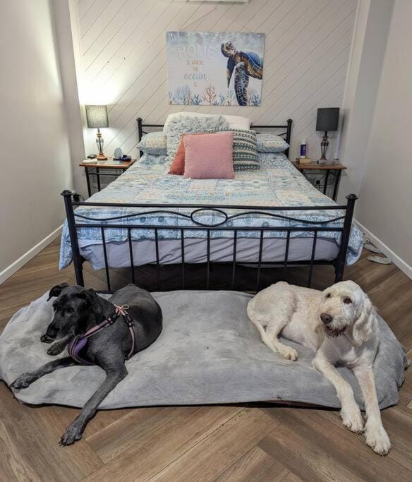 Bedroom, Pets