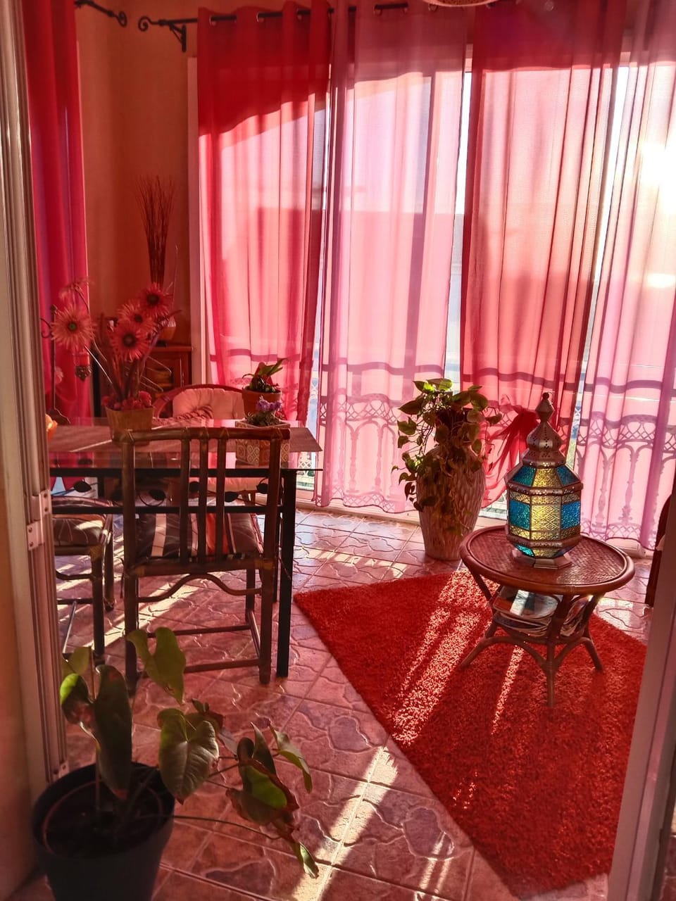40 Allée Le Chêne Bed and Breakfast in Corsica