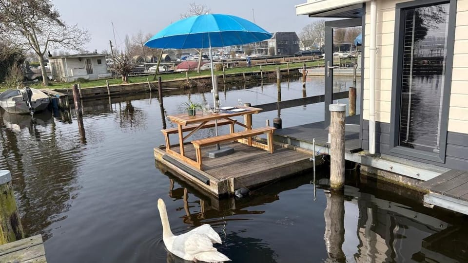 Day, Lake view