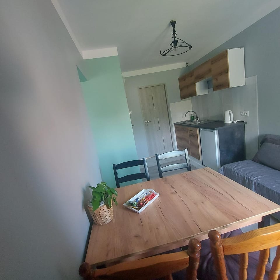 Apartament u Zbiga Apartment in Lithuania