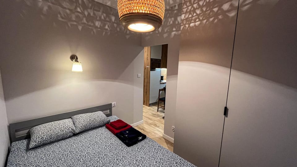 Apartament Lublin Old Town "Serval Cat" FREE PARKING Apartment in Masovian Voivodeship