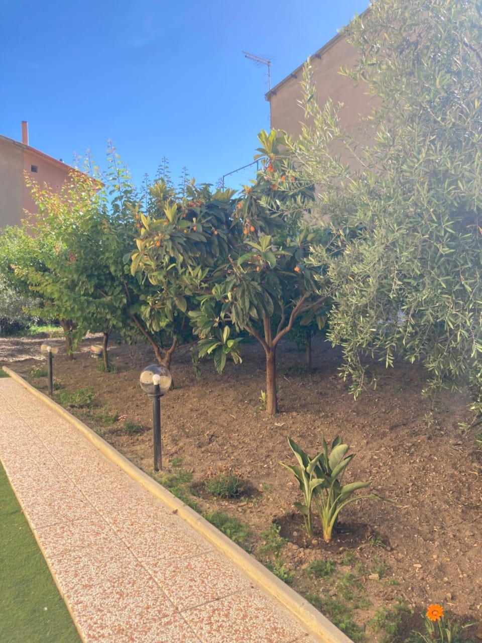 Casa vacanze Il giardino Apartment in Sardinia