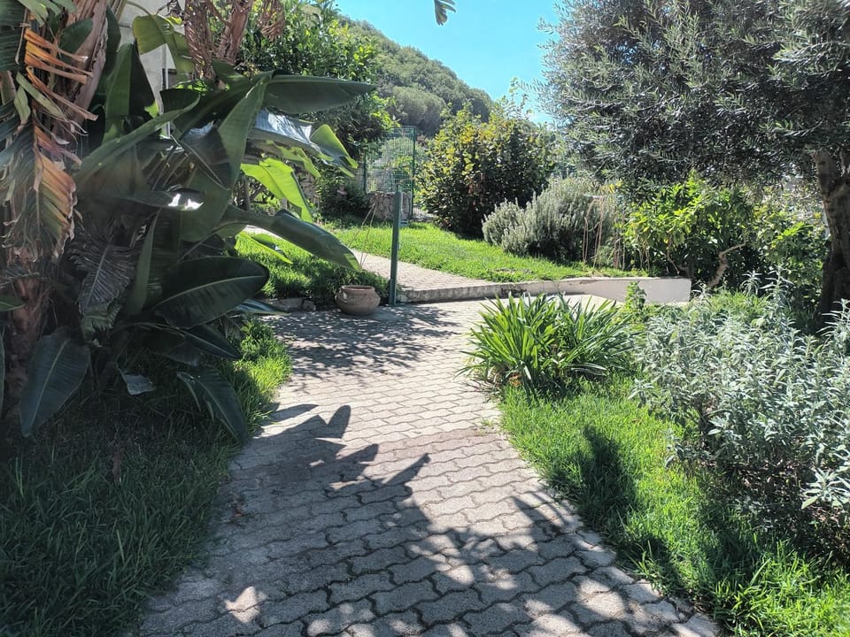 Spring, Day, Natural landscape, Garden, Garden view