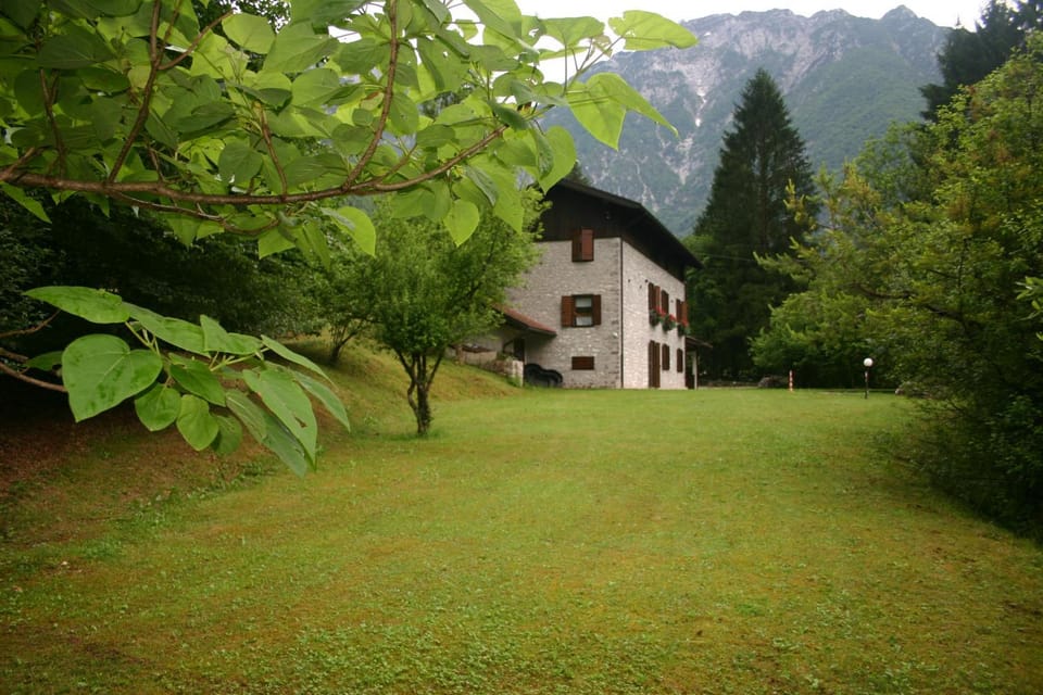 Natural landscape, Garden view