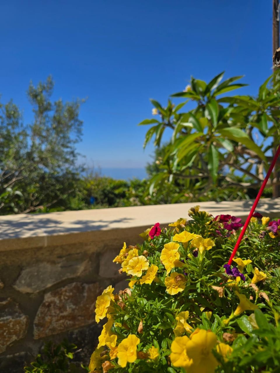 Stone Apartment in Agia Roumeli House in Crete