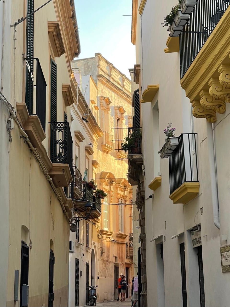 Property building, Day, Street view