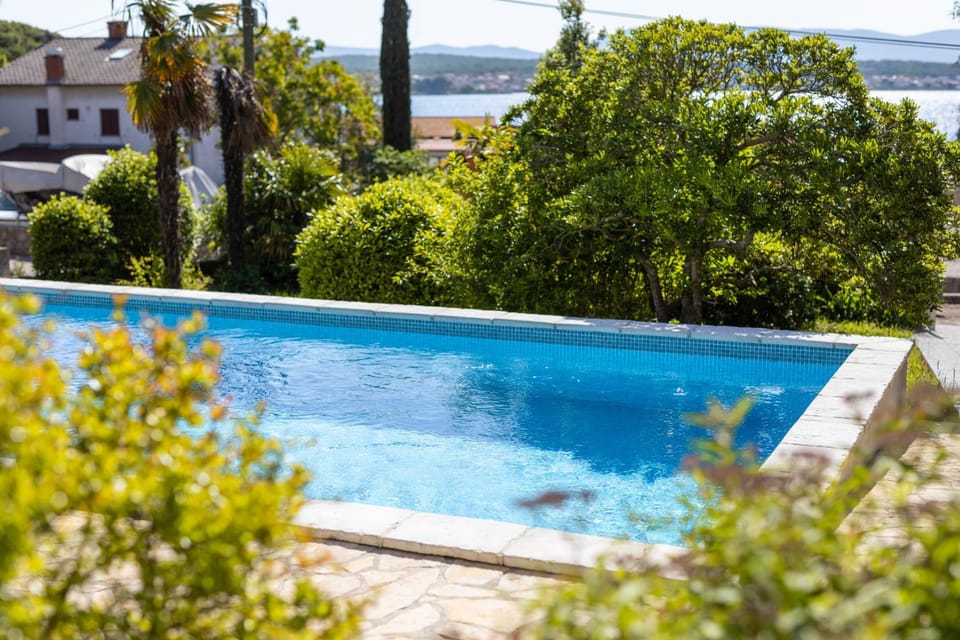 Day, Garden, Pool view, Swimming pool