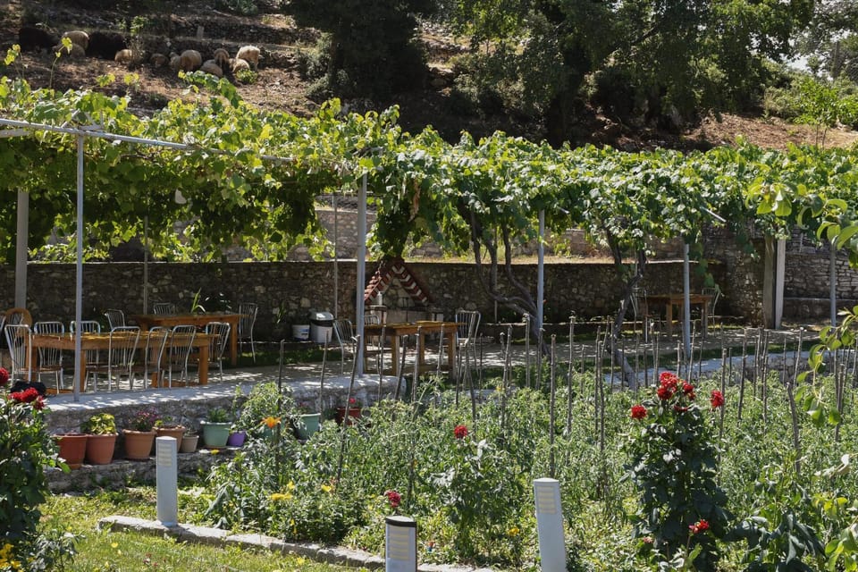 Spring, Day, Garden, Garden view