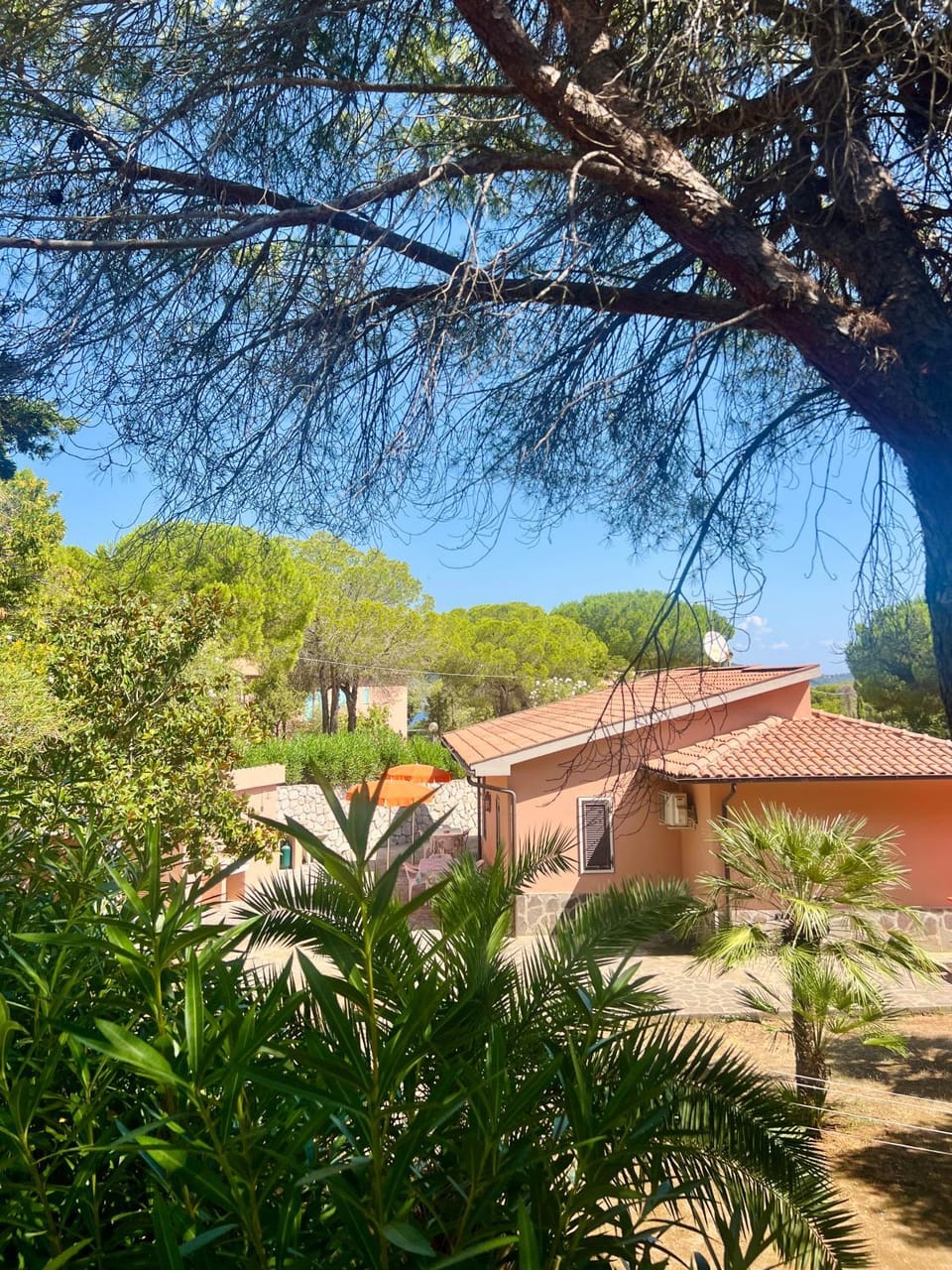 Property building, Spring, Day, Natural landscape, Garden, Garden view