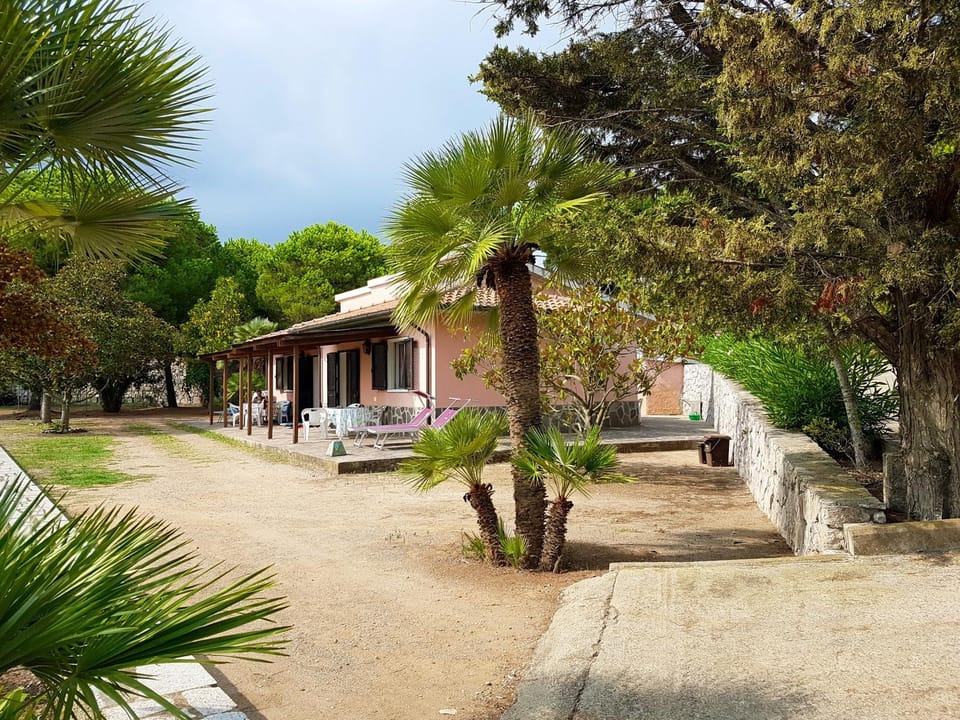 Property building, Natural landscape, Garden, Garden view