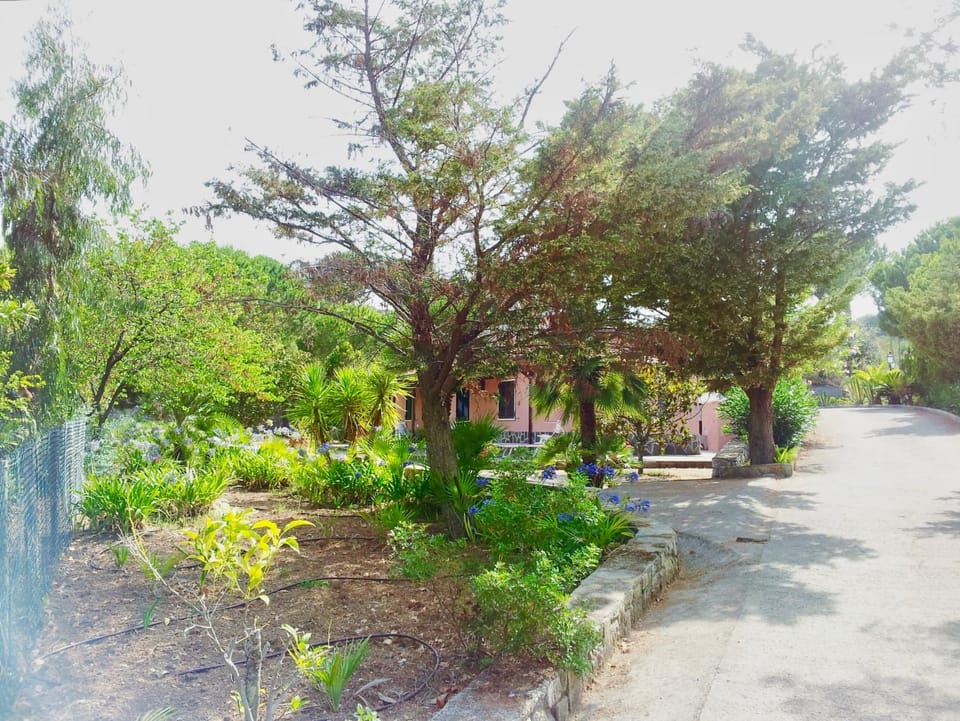 Garden, Garden view