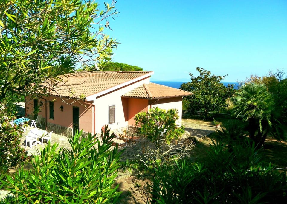 Property building, Garden, Garden view