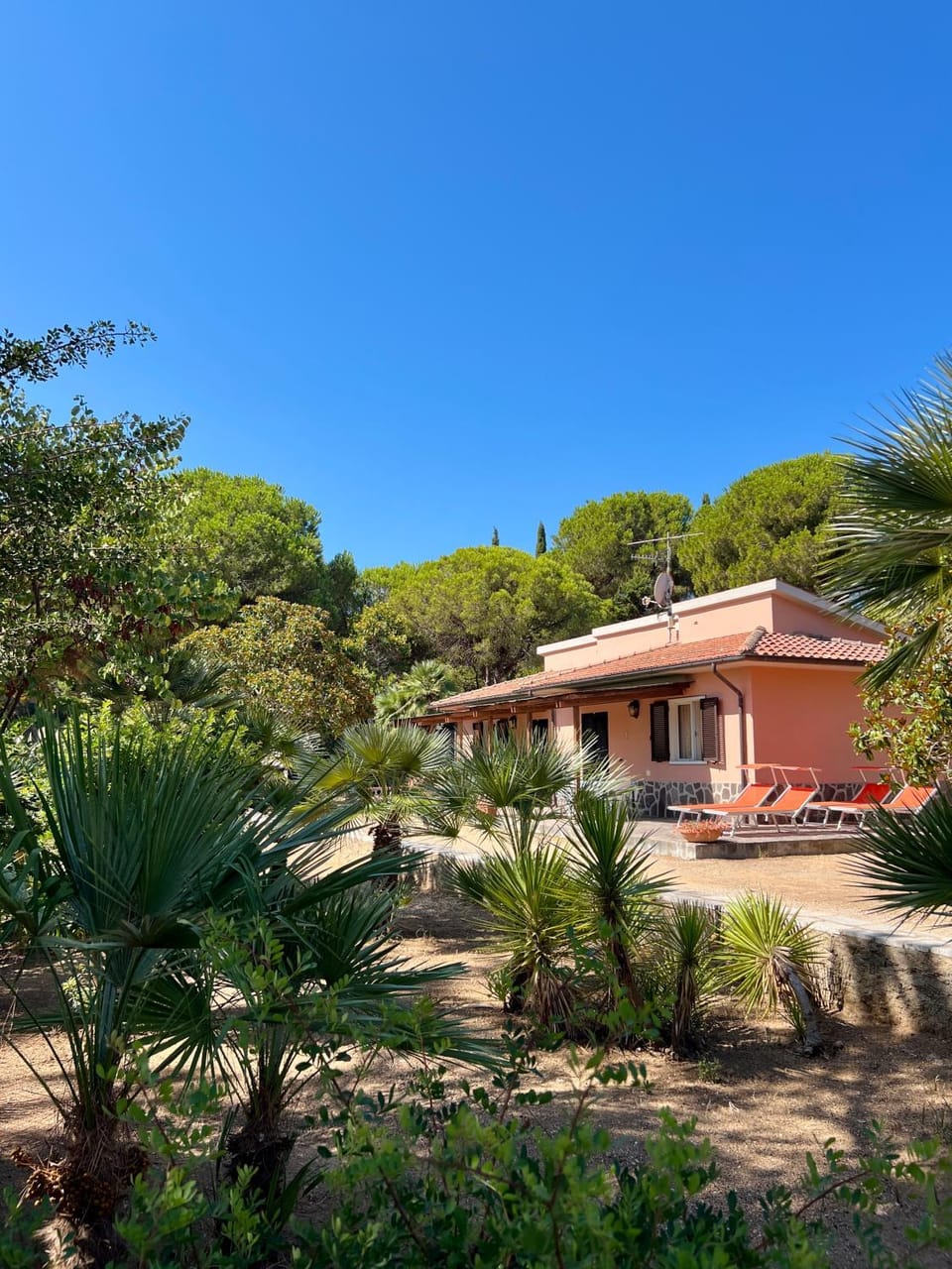 Property building, Spring, Day, Natural landscape, Garden, Garden view