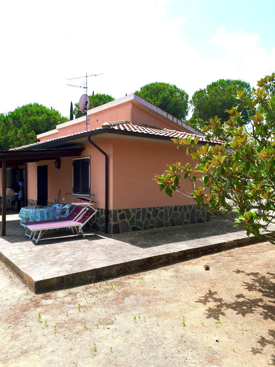 Property building, Garden, Garden view