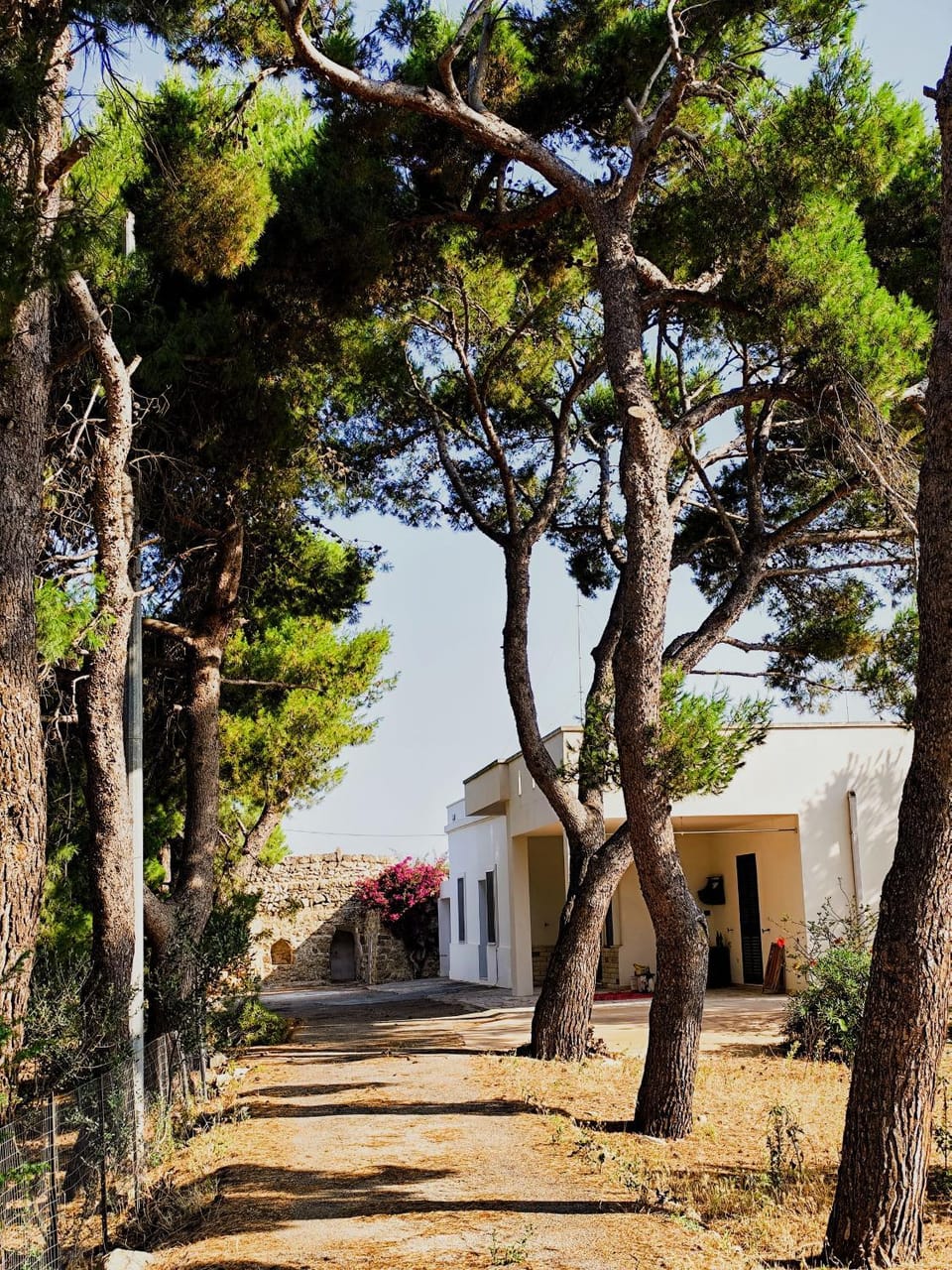 Property building, Natural landscape
