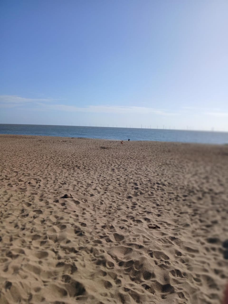 Accessible and dog friendly caravan Campground/ 
RV Resort in Ingoldmells