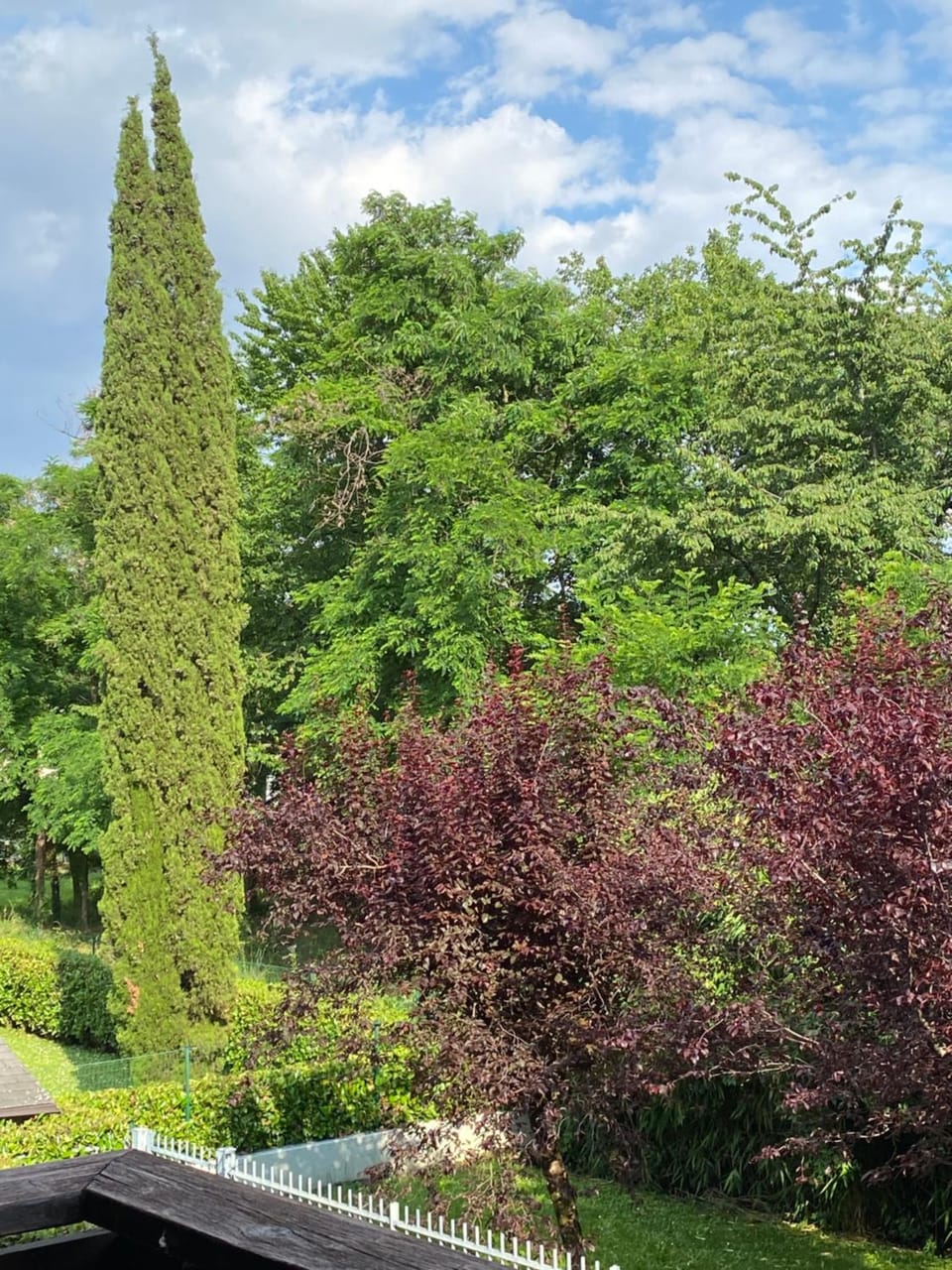 View (from property/room)