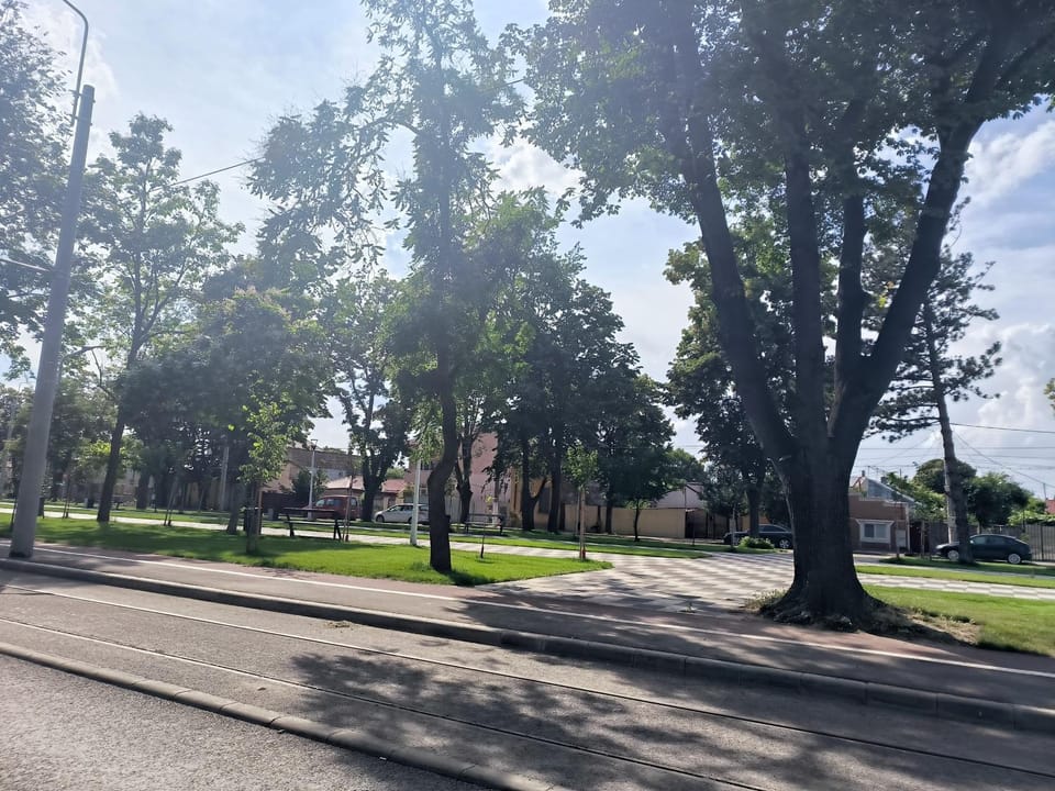 Day, Natural landscape, Street view