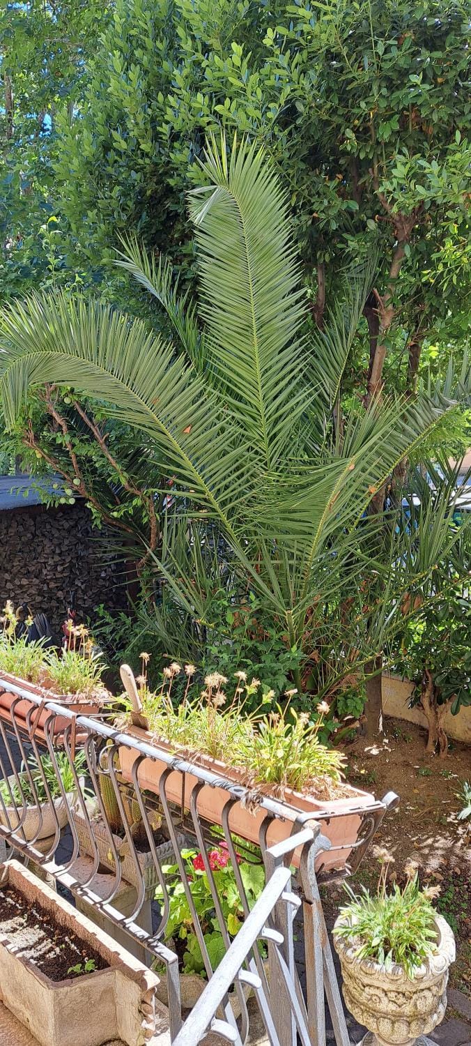 Garden, Garden view