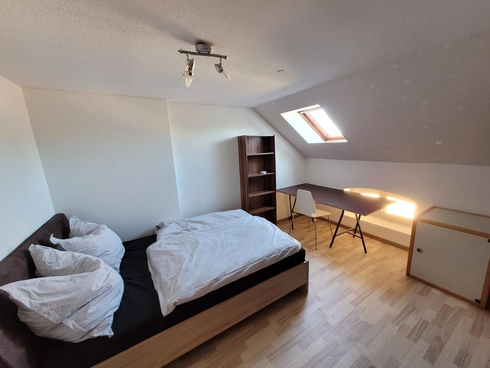 Photo of the whole room