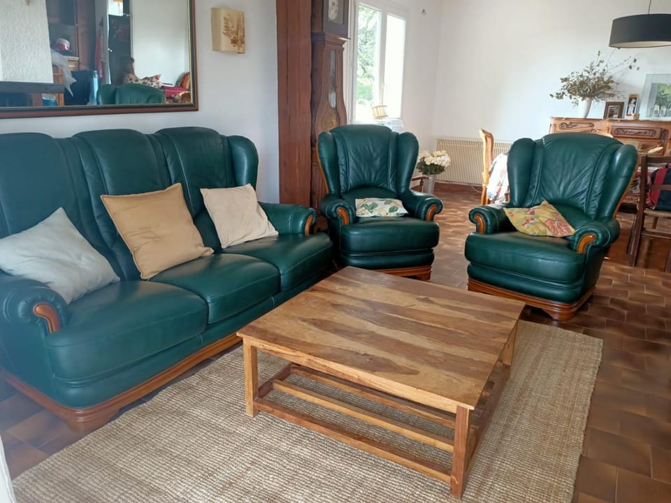 Charmante maison familiale à Réalmont-Tarn House in Occitanie