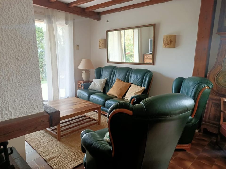 Charmante maison familiale à Réalmont-Tarn House in Occitanie