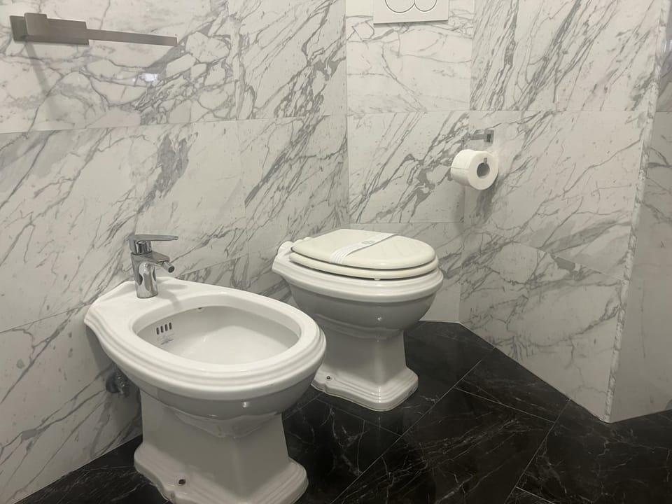 Toilet, Bathroom, bidet