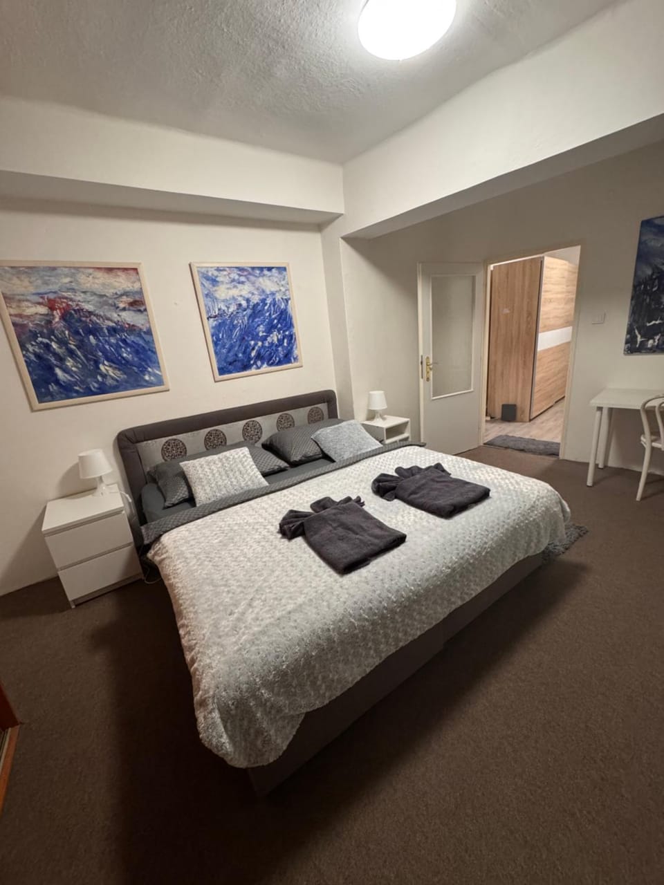 Ubytování v centru Ostravy Apartment in Czechia