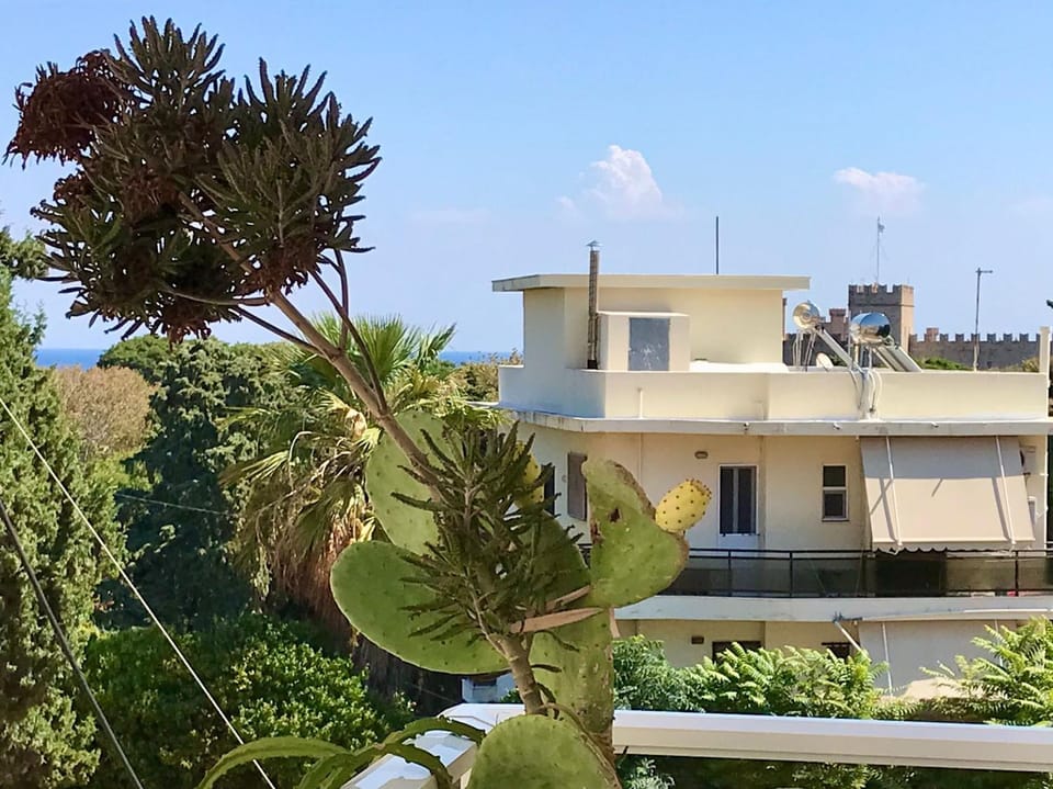 View (from property/room)