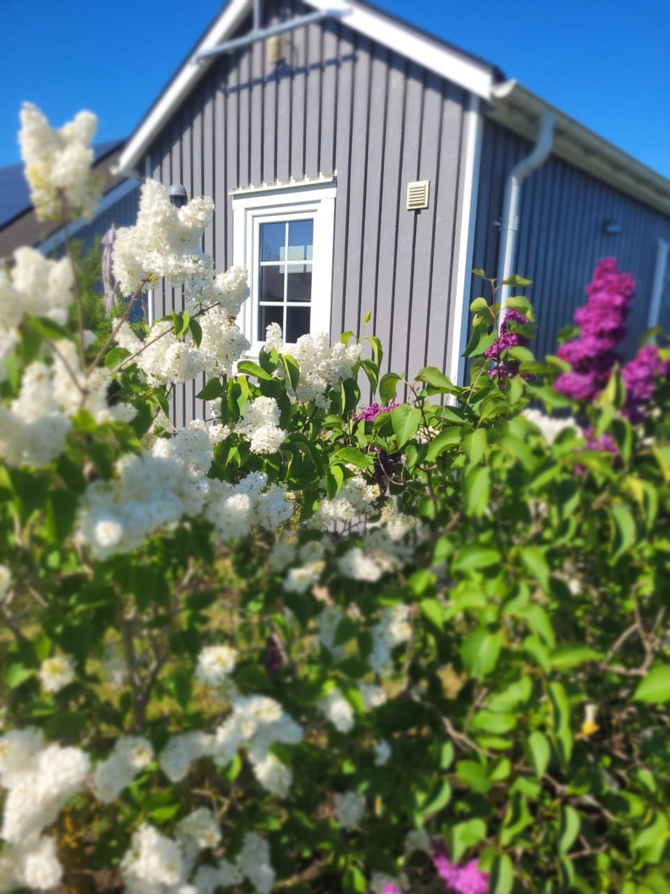 Helgas stuga i Jonstorp House in Skåne County