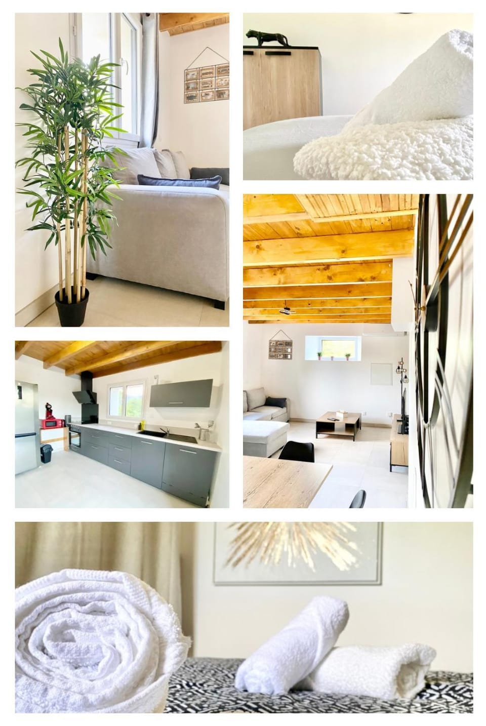 Bed, Kitchen or kitchenette