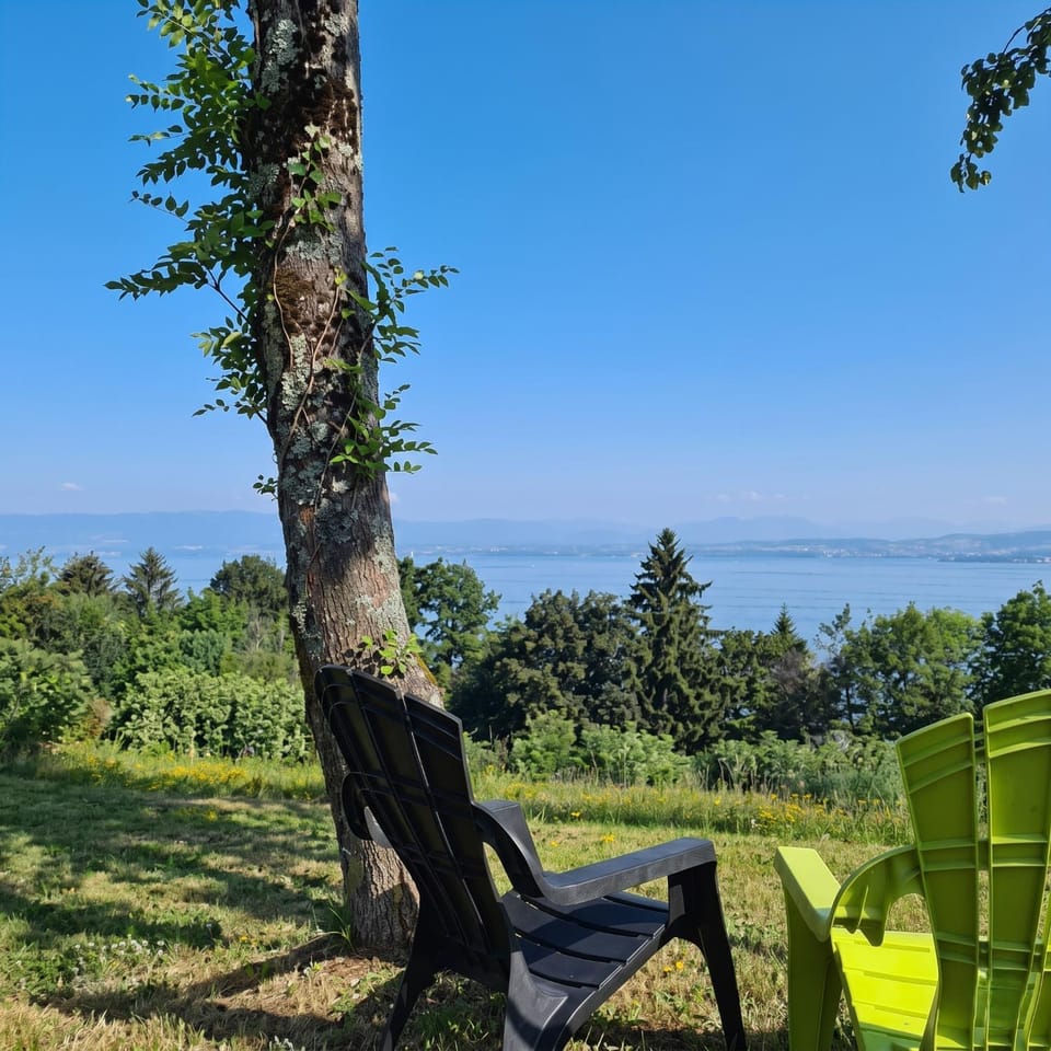 View (from property/room)