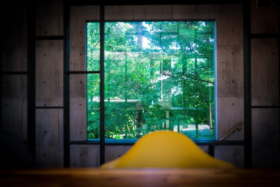 Natural landscape, Garden, Living room, Garden view