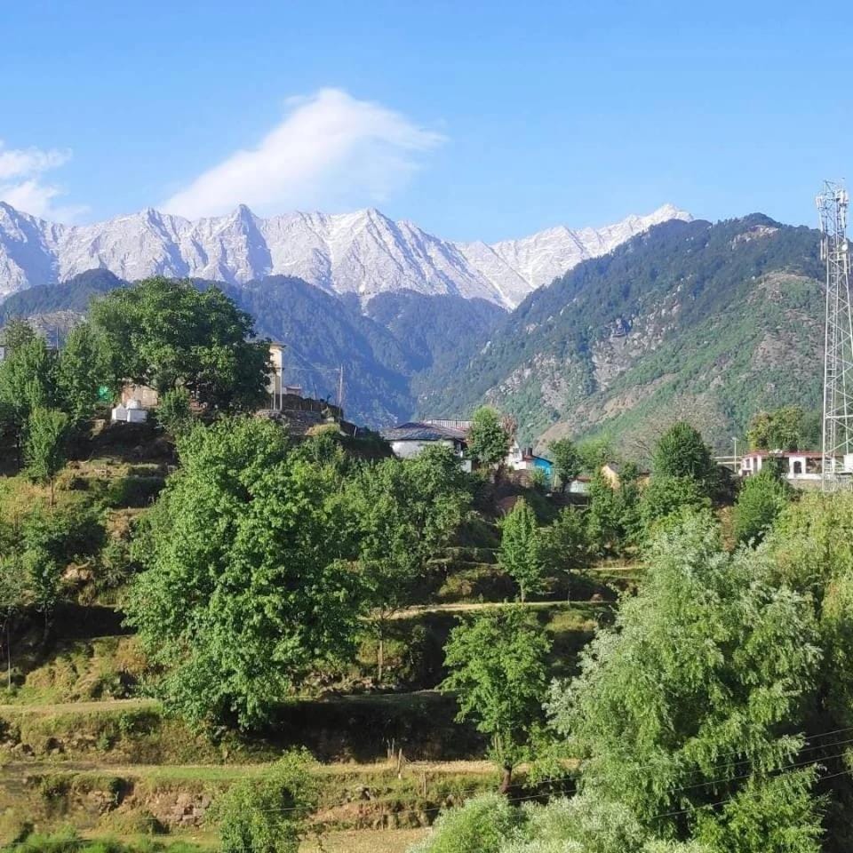Anchal House Vacation rental in Punjab, India