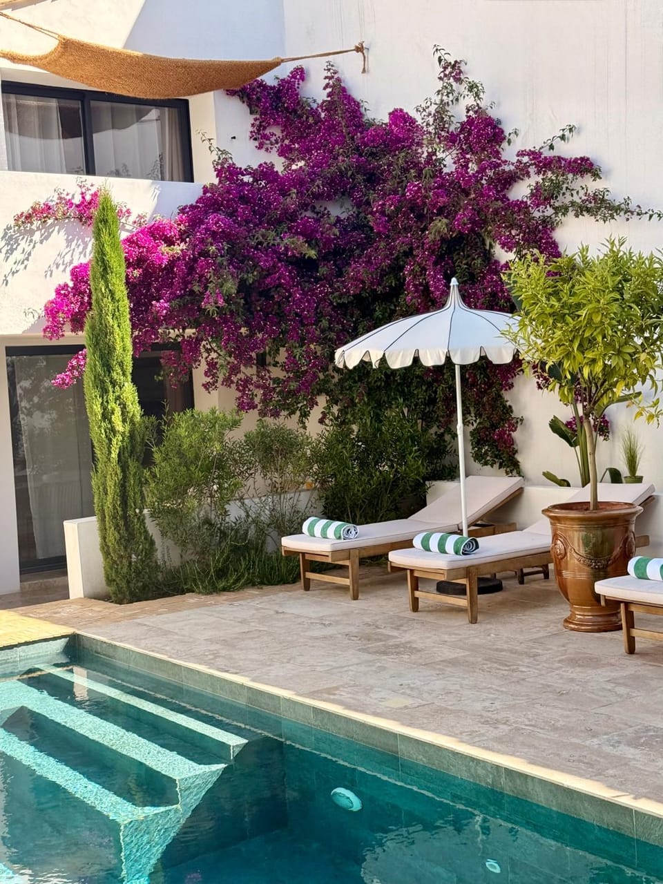 La Maison De Ville - Piscine & SPA Bed and Breakfast in Occitanie