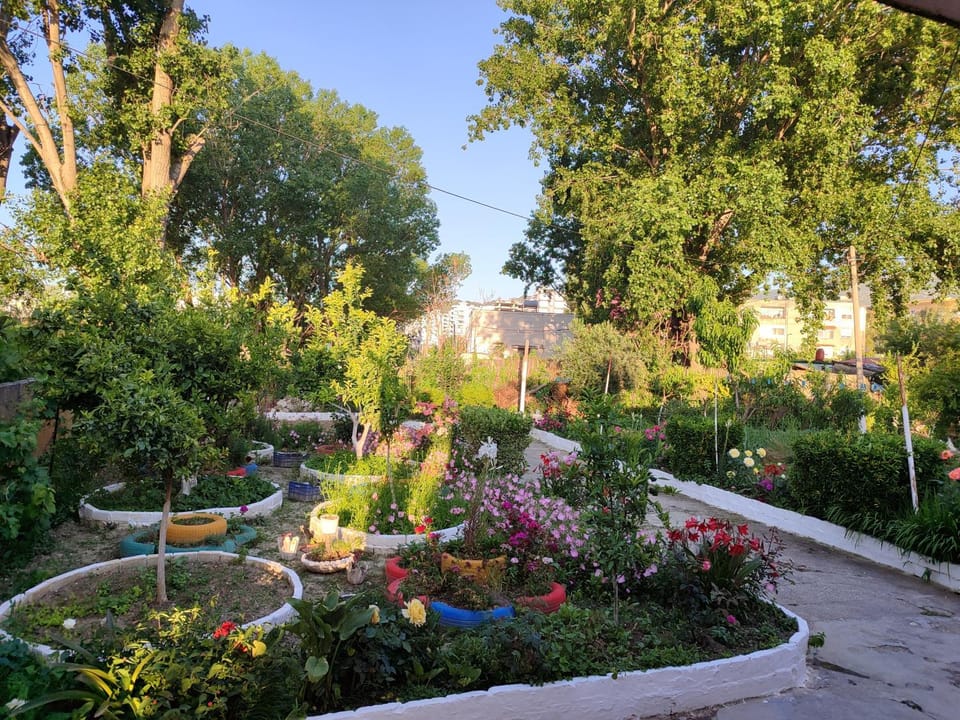 Patio, Balcony/Terrace, Garden view