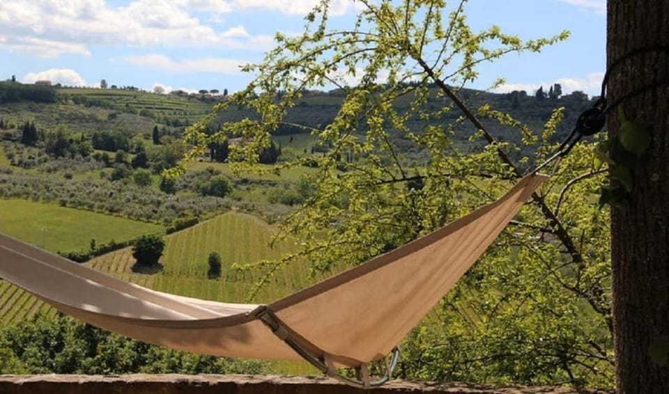Typical Tuscan farmhouse in charming position between Panzano -Greve in Chianti Villa in Tuscany