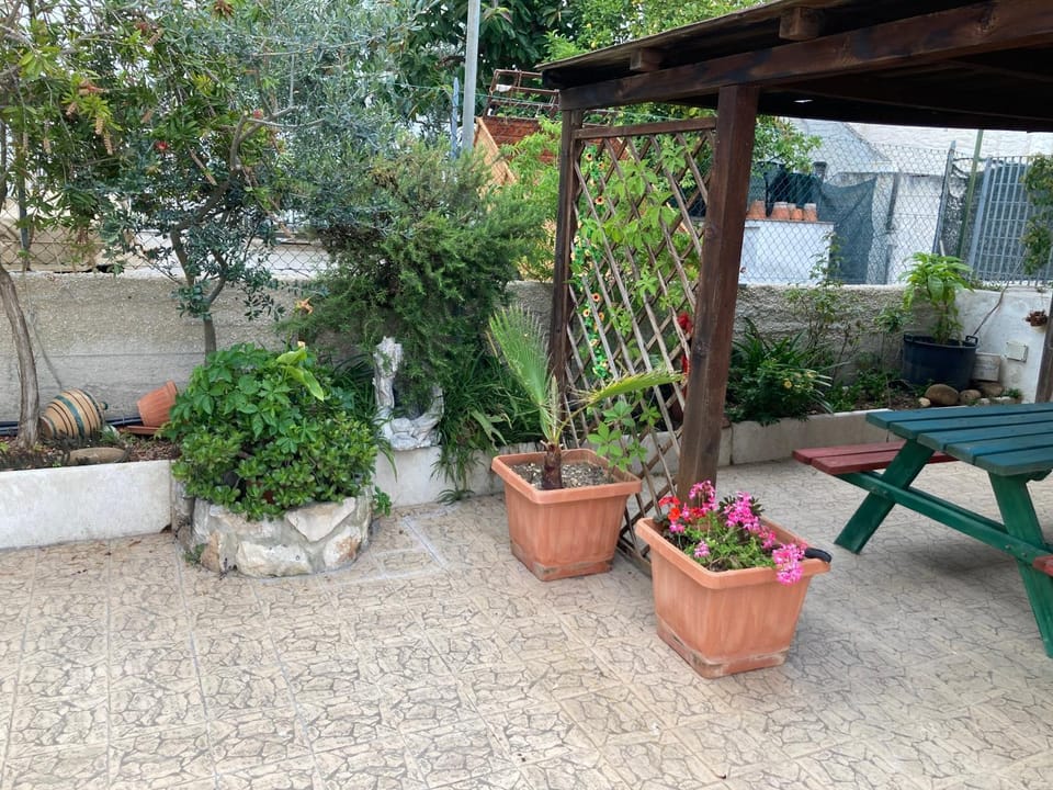 Garden view