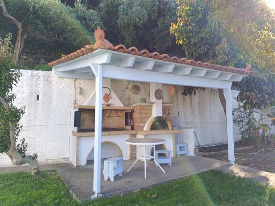 Property building, Patio, Garden, Garden view