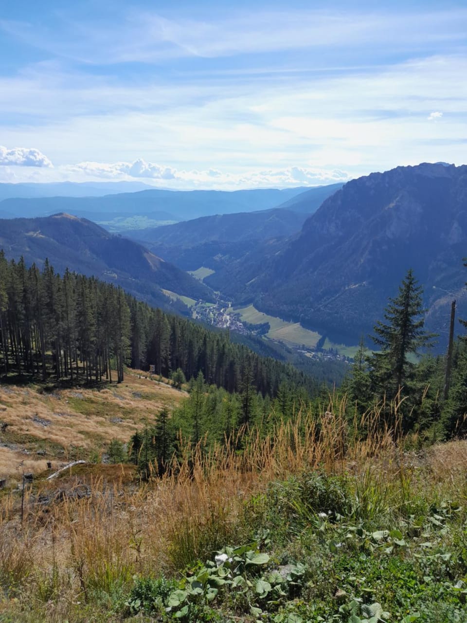 Natural landscape