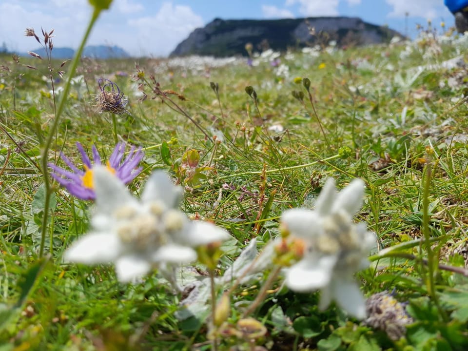 Natural landscape