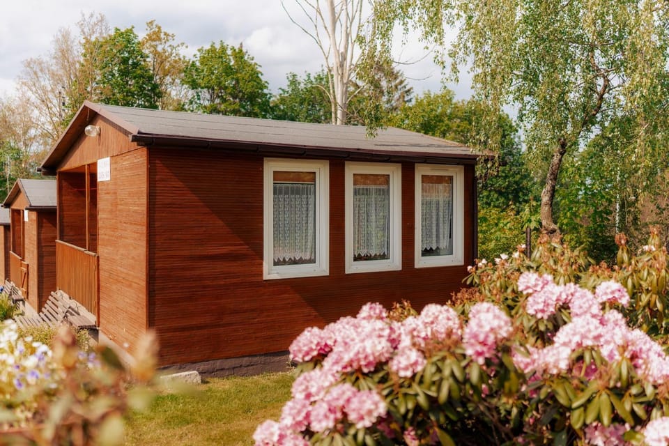 Property building, Spring, Day, Garden, Garden view