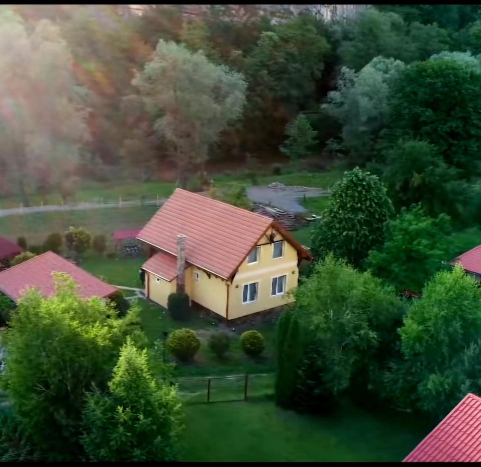 Property building, Day, Natural landscape, Bird's eye view, Garden view