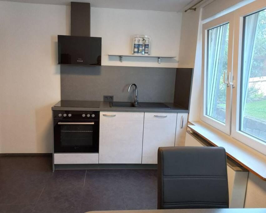 Kitchen or kitchenette, dishwasher, stove